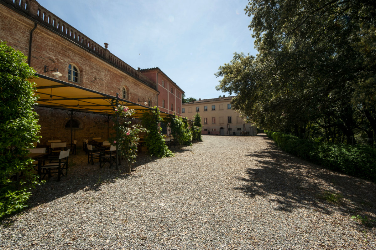Full image view